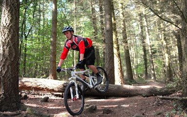 Individual mountain biking over rocks in the forest